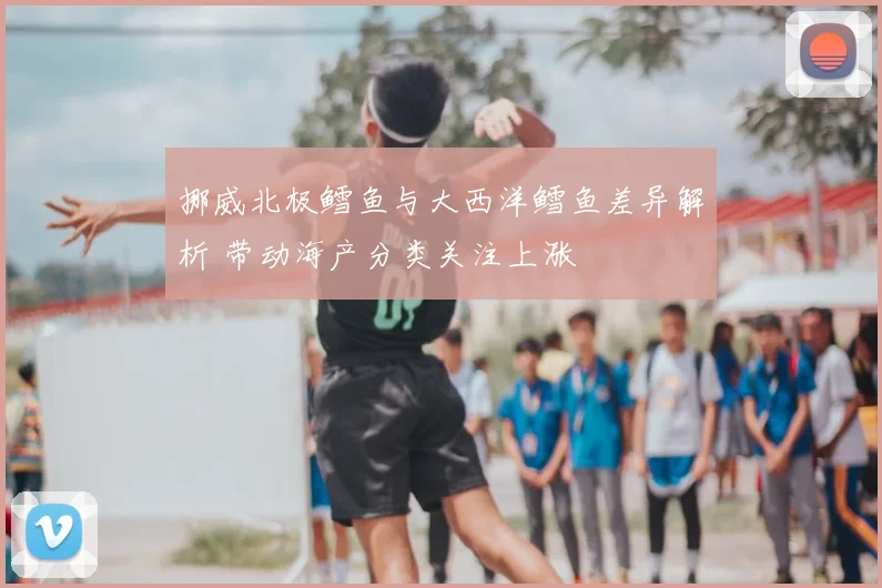 挪威北极鳕鱼与大西洋鳕鱼差异解析 带动海产分类关注上涨